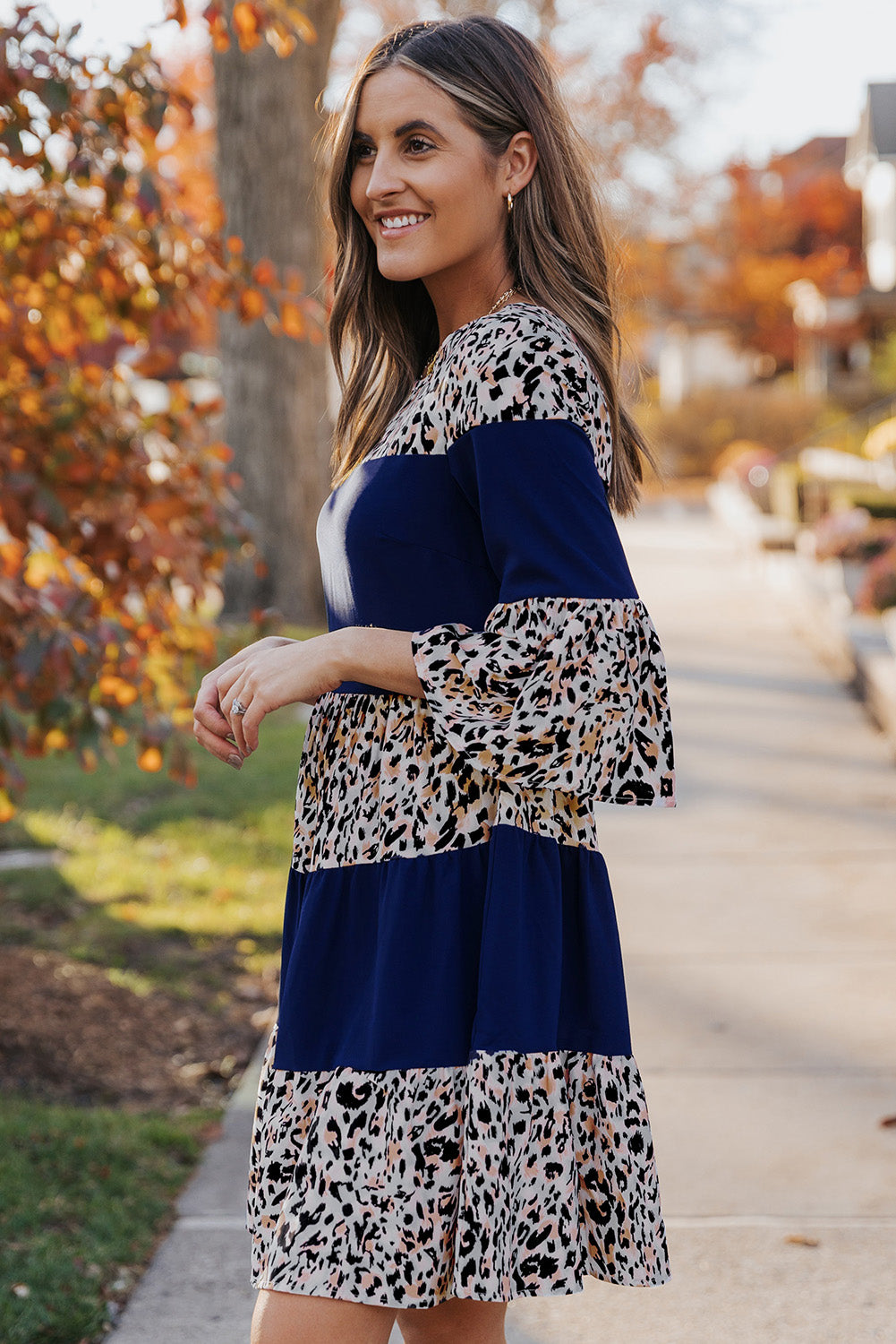 Animal Print Color Block Flare Sleeve Dress